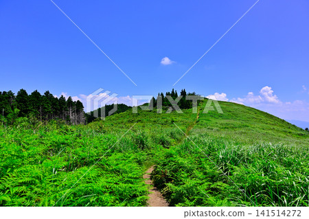 和歌山縣紀野町大石峰大石高原 和歌山縣紀野町大石峰大石高原 141514272