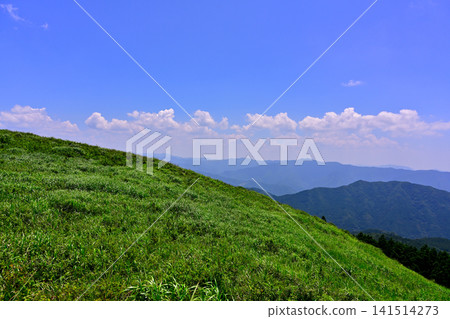 和歌山縣紀野町大石峰大石高原 和歌山縣紀野町大石峰大石高原 141514273