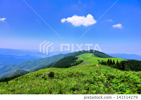 和歌山縣紀野町大石峰大石高原 和歌山縣紀野町大石峰大石高原 141514279