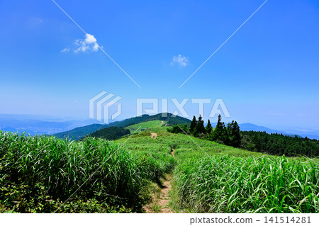 Oishi Plateau at Oishigamine, Kimino Town, Wakayama Prefecture Oishi Plateau at Oishigamine, Kimino Town, Wakayama Prefecture 141514281