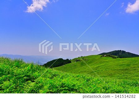 和歌山縣紀野町大石峰大石高原 和歌山縣紀野町大石峰大石高原 141514282
