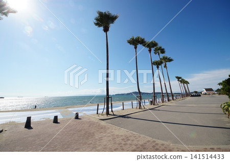 和歌山濱宮海灘 和歌山濱宮海灘 141514433