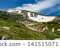 Walking in the summer mountains 141515071