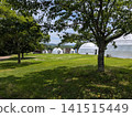 Stylish dome tents that stand out against the blue sky and lawn make for a great outdoor resort. 141515449