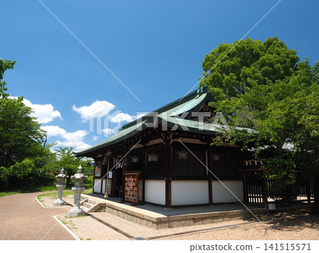 位於大和郡山城遺址上的柳澤神社，以藍天為背景（奈良縣大和郡山市） 141515571