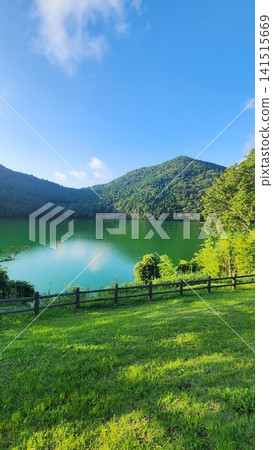 The edge of the pond, surrounded by fresh greenery The edge of the pond, surrounded by fresh greenery 141515669