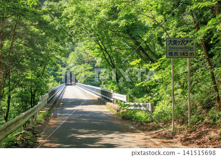 A beautiful view of the Omigasawa Bridge amidst the fresh greenery (Shichikashuku Town, Miyagi Prefecture) A beautiful view of the Omigasawa Bridge amidst the fresh greenery (Shichikashuku Town, Miyagi Prefecture) 141515698