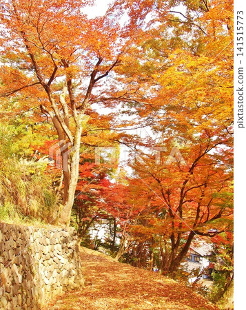 秋色籠罩下的大千屋船山公園景色 秋色籠罩下的大千屋船山公園景色 141515773