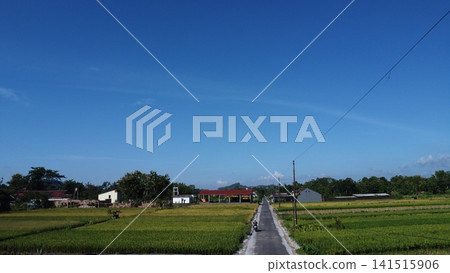 Serene Country Road Leading to a Village Under a Clear Blue Sky Serene Country Road Leading to a Village Under a Clear Blue Sky 141515906