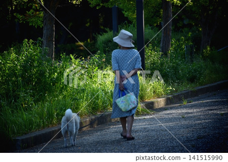 A woman walking her dog early in the morning A woman walking her dog early in the morning 141515990