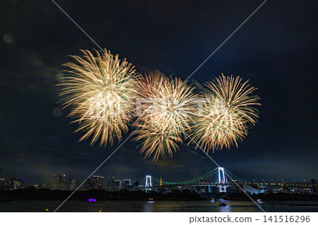 著色夏夜天空的煙花 著色夏夜天空的煙花 141516296