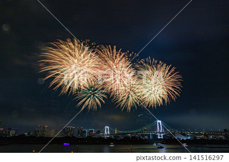 夜空中美麗的煙花 141516297
