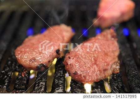 A5 grade Japanese Black Wagyu Beef Short Ribs for Yakiniku A5 grade Japanese Black Wagyu Beef Short Ribs for Yakiniku 141517095