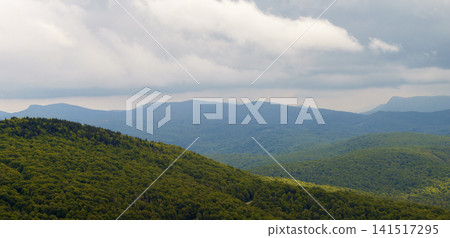 Summer forest on Appalachian mountain hills in North Carolina. Summertime landscape of beautiful nature Summer forest on Appalachian mountain hills in North Carolina. Summertime landscape of beautiful nature 141517295