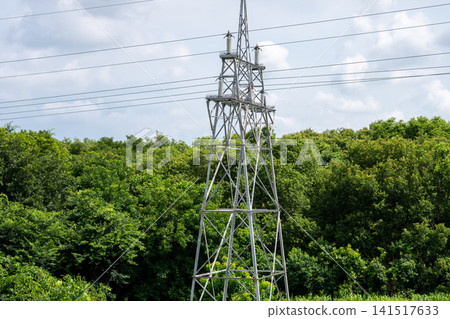 森林上方聳立著輸電塔和電力基礎設施。 森林上方聳立著輸電塔和電力基礎設施。 141517633