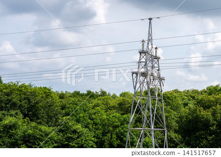 Power transmission towers and power infrastructure standing above the forest Power transmission towers and power infrastructure standing above the forest 141517657