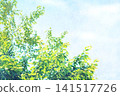 Watercolor-style background of sky and green leaves 141517726