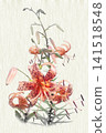 Flower lily 141518548