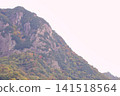 Mountain stained in autumn leaves 141518564