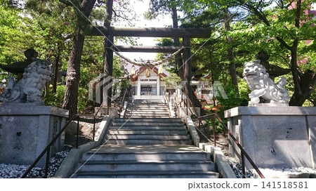 手稻神社的鳥居守護獅犬!北海道札幌市 手稻神社的鳥居守護獅犬!北海道札幌市 141518581