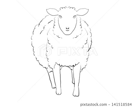 一幅寫實的手繪風格黑白綿羊插圖。 141518584
