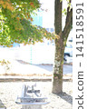 Park benches and scenery with benches 141518591