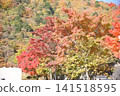 Momiji who changed leaves 141518595