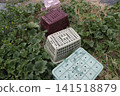 Pest control measures for yellow melon fields 141518879
