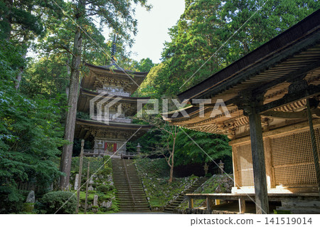Fukui Myotsuji Temple: National Treasure Main Hall and Three-Storied Pagoda Fukui Myotsuji Temple: National Treasure Main Hall and Three-Storied Pagoda 141519014