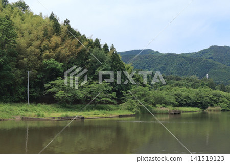 Marsh and surrounding forest (Maushinuma Marsh, Shiroishi City, Miyagi Prefecture) Marsh and surrounding forest (Maushinuma Marsh, Shiroishi City, Miyagi Prefecture) 141519123