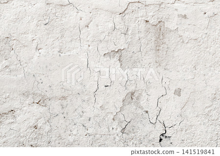 Light Gray Stucco Wall Texture. Abstract Background 141519841