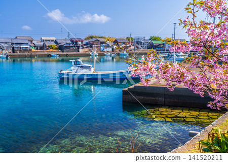 【傳統建築群重要保護區】出羽島:河津櫻花、漁港、西羽戶7號,西羽戶,海府縣海府郡麥町 【傳統建築群重要保護區】出羽島:河津櫻花、漁港、西羽戶7號,西羽戶,海府縣海府郡麥町 141520211