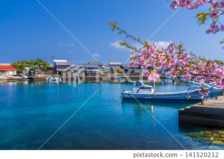 【傳統建築群重要保護區】出羽島:河津櫻花、漁港、西羽戶6號,德島縣海府郡麥町 【傳統建築群重要保護區】出羽島:河津櫻花、漁港、西羽戶6號,德島縣海府郡麥町 141520212