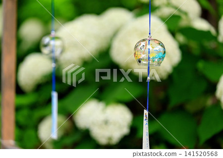 Hydrangeas and swaying wind chimes Hydrangeas and swaying wind chimes 141520568