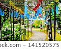Colorful Wind Chime Street 141520575