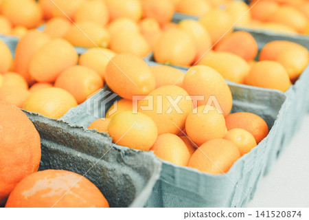 Bright orange kumquats fill shallow gray trays Bright orange kumquats fill shallow gray trays 141520874