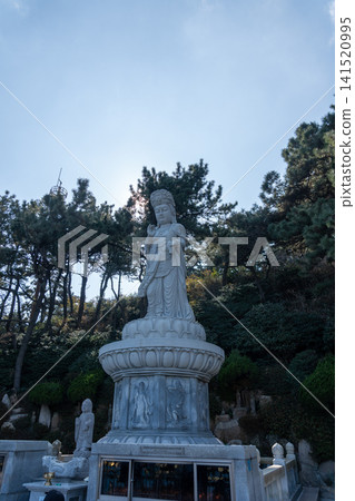 The Great Buddha of Kaisui Kannon Standing on a Lotus Pedestal at Haedong Yonggungsa Temple The Great Buddha of Kaisui Kannon Standing on a Lotus Pedestal at Haedong Yonggungsa Temple 141520995