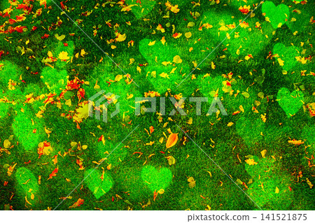 Autumn leaves falling on moss Autumn leaves falling on moss 141521875