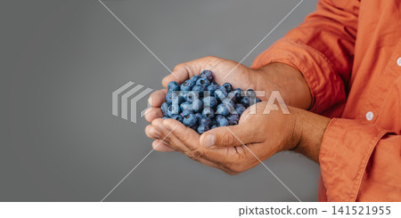 Fresh Blueberries in Cupped Hands with Copy Space Healthy Harvest Concept 141521955