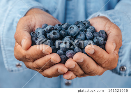 Fresh Blueberries in Cupped Hands Healthy Organic Food Concept 141521956
