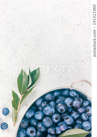 Fresh Blueberries in Metal Colander on Light Background with Copy Space 141521960