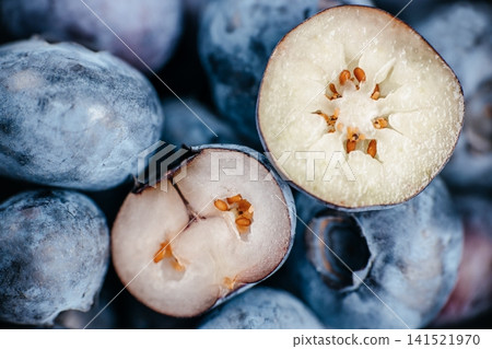 Macro Blueberry Cross Sections Revealing Seeds and Internal Fruit Structure Macro Blueberry Cross Sections Revealing Seeds and Internal Fruit Structure 141521970