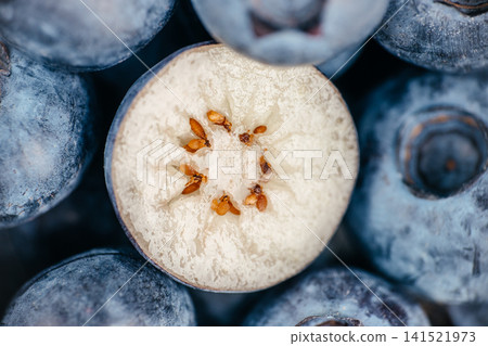 Macro Blueberry Cross Section Revealing Seeds and Internal Structure 141521973