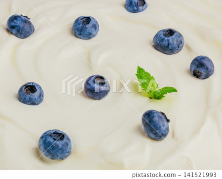 Fresh Blueberries And Mint On Creamy Yogurt Background Fresh Blueberries And Mint On Creamy Yogurt Background 141521993
