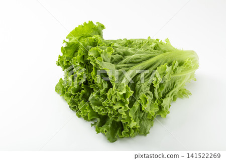 Green curls against a white background Green curls against a white background 141522269