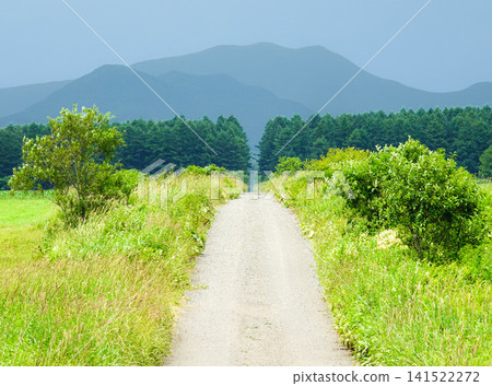 北海道中柴別市的夏天：柴別市周圍空無一物，只有道路，景色十分簡單。 141522272