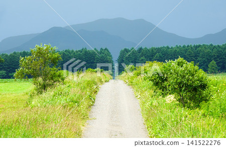 Summer in Nakashibetsu, Hokkaido: A simple landscape of roads with nothing around Shibetsu. Summer in Nakashibetsu, Hokkaido: A simple landscape of roads with nothing around Shibetsu. 141522276