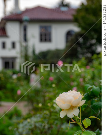橫濱一座西式建築的外觀 橫濱一座西式建築的外觀 141522282