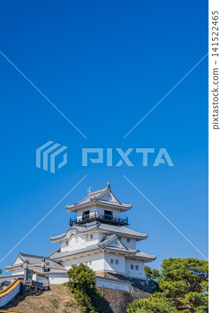 A view of Kakegawa Castle in Kakegawa City (Shizuoka Prefecture) A view of Kakegawa Castle in Kakegawa City (Shizuoka Prefecture) 141522465
