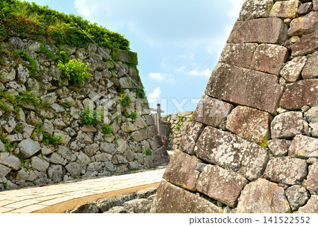 Tamba Sasayama Castle, one of Japan's Top 100 Castles Tamba Sasayama Castle, one of Japan's Top 100 Castles 141522552
